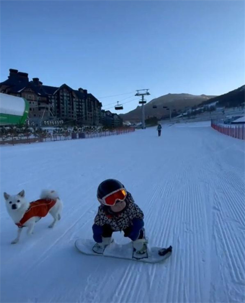 Un « maître du ski » de 11 mois