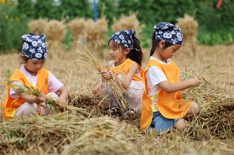 Shandong : des activités sur le thème du terme solaire des Épis Pleins organisées dans une maternelle de Yiwen