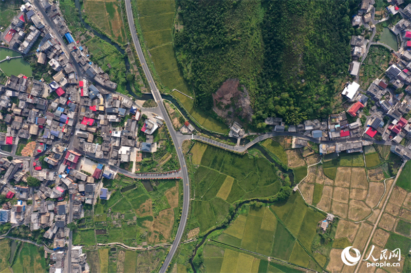 Jiangxi : une belle image des récoltes d'automne dans les villages de montagne de Shangli