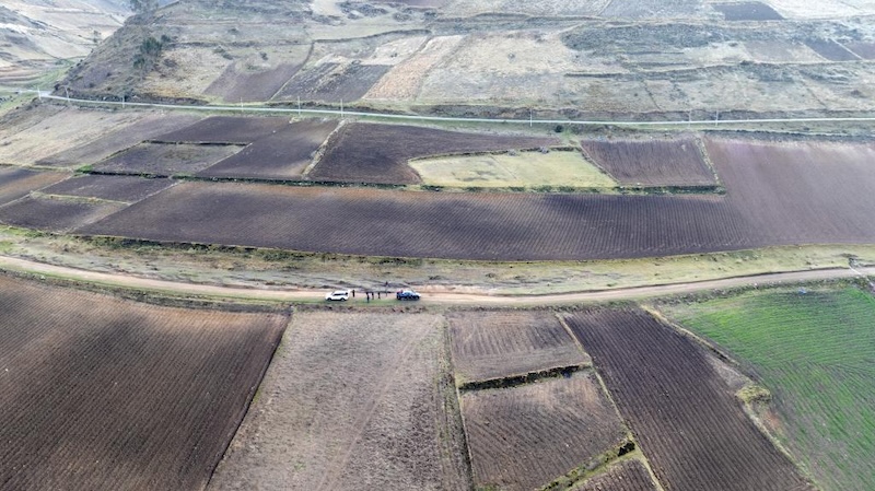 La Chine et le Pérou unissent leurs forces dans la sélection et la production de pommes de terre