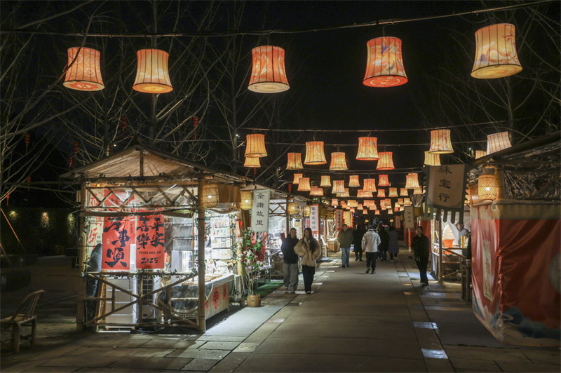 Zhejiang : des lanternes ornées à Jiaxing pour célébrer la prochaine fête des Lanternes