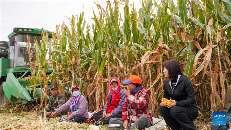Jilin :  une « nouvelle agricultrice » dynamise la revitalisation rurale grâce à de nouveaux modèles