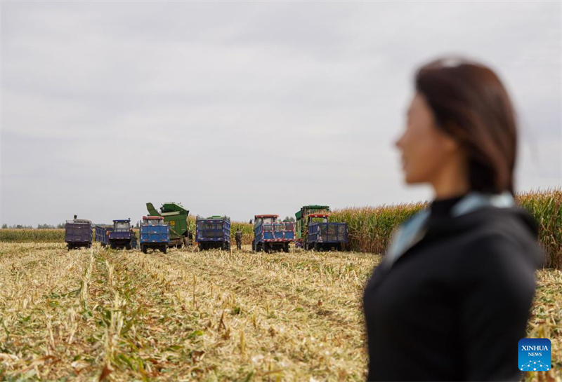 Jilin :  une « nouvelle agricultrice » dynamise la revitalisation rurale grâce à de nouveaux modèles