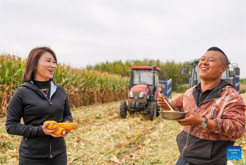 Jilin :  une « nouvelle agricultrice » dynamise la revitalisation rurale grâce à de nouveaux modèles