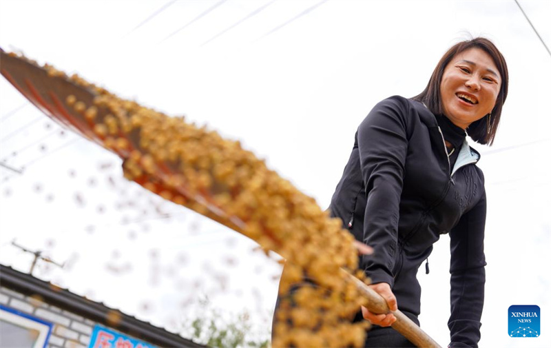 Jilin :  une « nouvelle agricultrice » dynamise la revitalisation rurale grâce à de nouveaux modèles