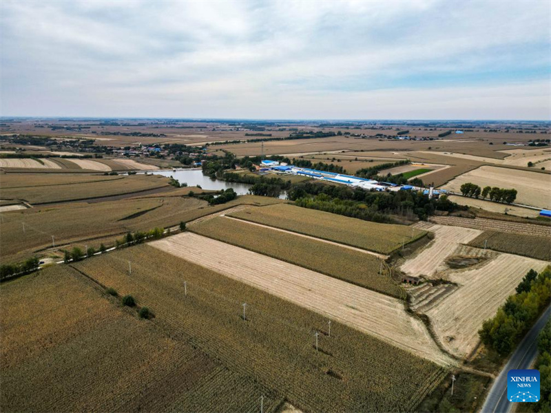 Jilin :  une « nouvelle agricultrice » dynamise la revitalisation rurale grâce à de nouveaux modèles