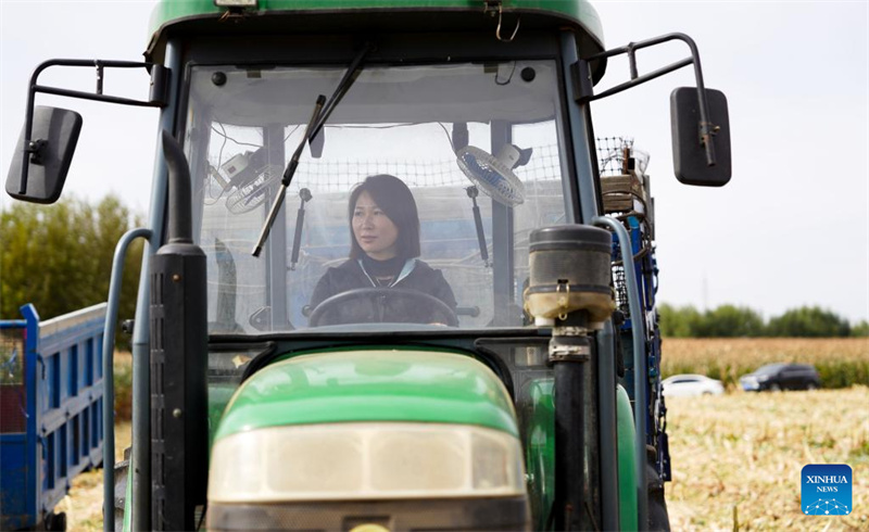 Jilin :  une « nouvelle agricultrice » dynamise la revitalisation rurale grâce à de nouveaux modèles