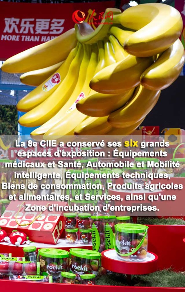 Neuf images pour comprendre rapidement les temps forts de la 8e édition d'Exposition internationale d'importation de la Chine