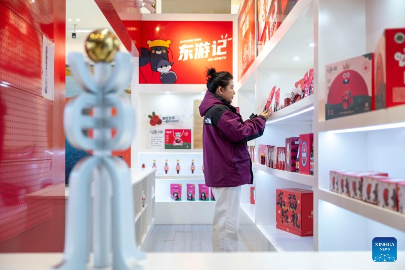 Heilongjiang :  l'industrie de la canneberge prospère à Fuyuan