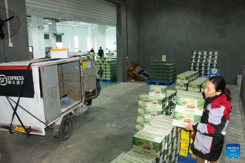 Hunan : le district de Lengshuitan stimule le développement d'élevages de poules pondeuses