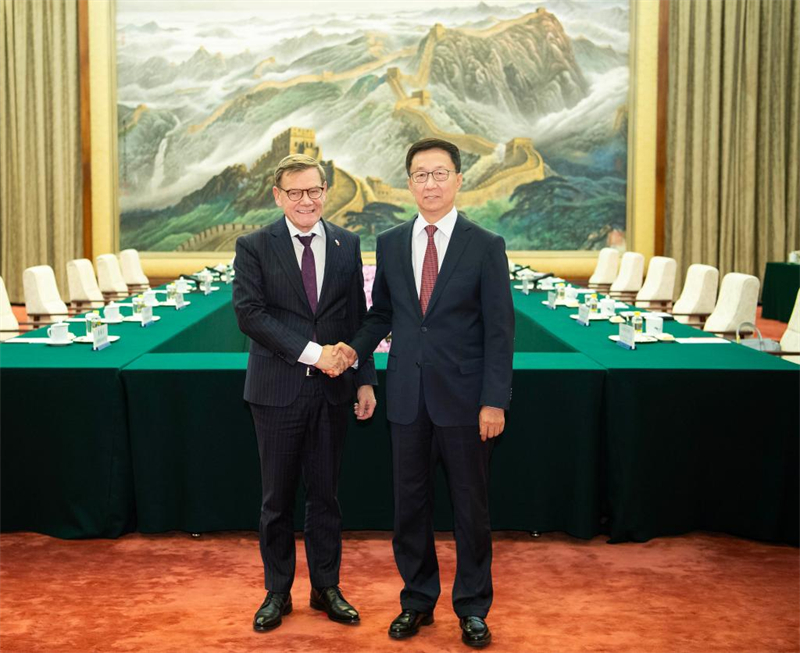 Le vice-président chinois rencontre le ministre allemand des Affaires étrangères
