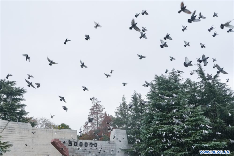 La Chine organise une commémoration nationale pour rendre hommage aux victimes du massacre de Nanjing et appeler au souvenir de l'histoire
