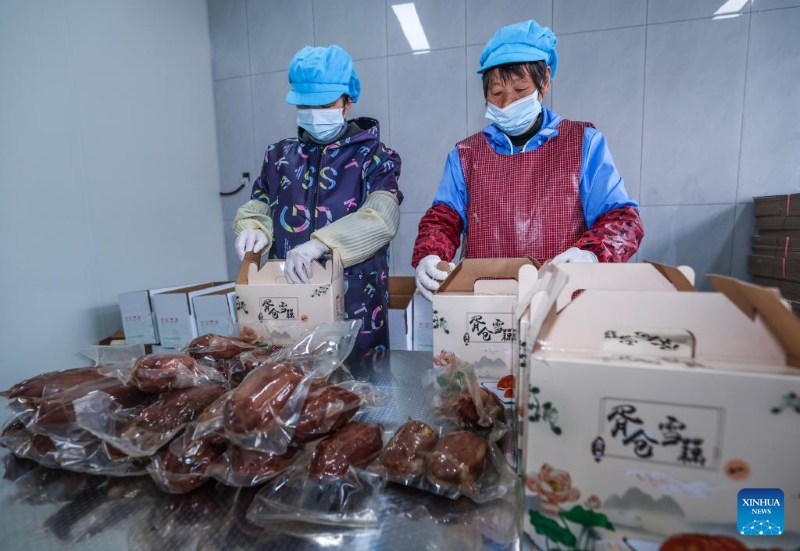 Zhejiang : le canton de Lyushan multiplie les efforts pour favoriser une revitalisation rurale globale