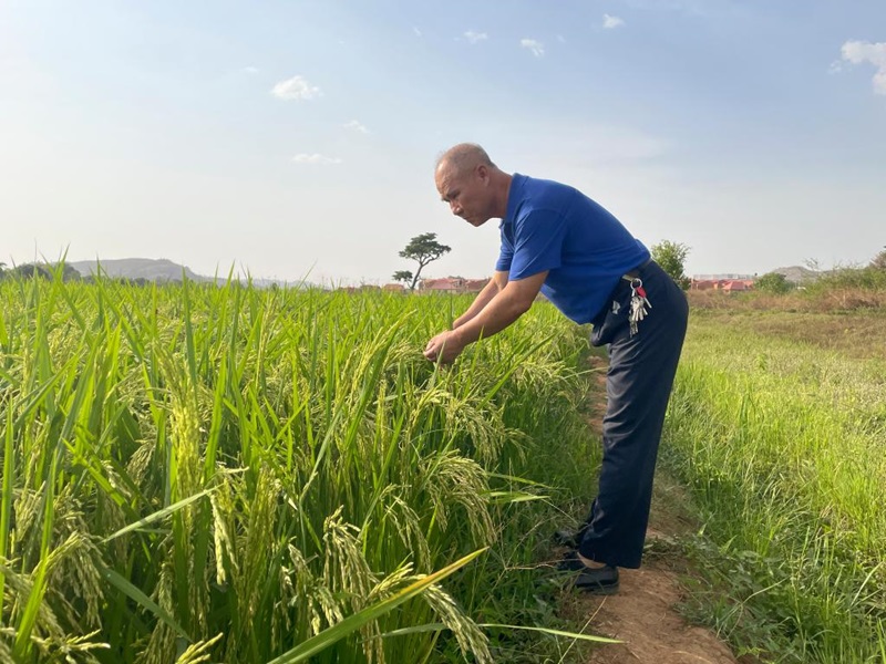 Comment la Chine et l'Afrique partagent les fruits de leurs liens solides