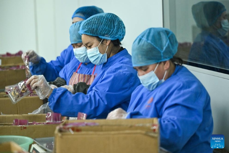 A l'approche de la Fête du Printemps, les produits haut de gamme du Xinjiang entrent dans la haute saison des ventes