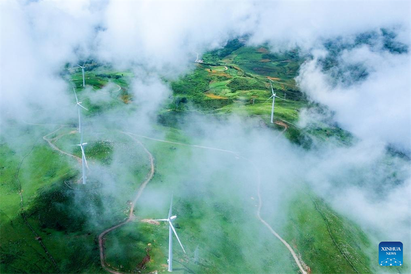 La Chine devient une puissance mondiale dans le domaine de l'énergie éolienne, défendant la transition verte et la coopération internationale