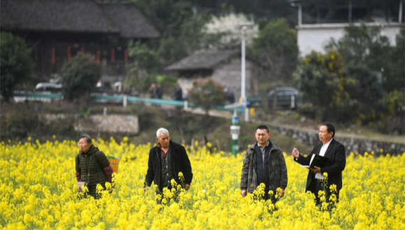 Comment un expert chinois du riz a apporté des rendements plus élevés aux agriculteurs nigérians                    Ces derniers jours, Yang Xiugang, technicien agricole chinois, a reçu des messages de Muhammad Usman, l'un de ses apprentis au Nigeria, lui demandant des conseils agricoles. Au cours des dernières années, il a contribué à tripler les rendements du riz dans certaines parties de ce pays africain.