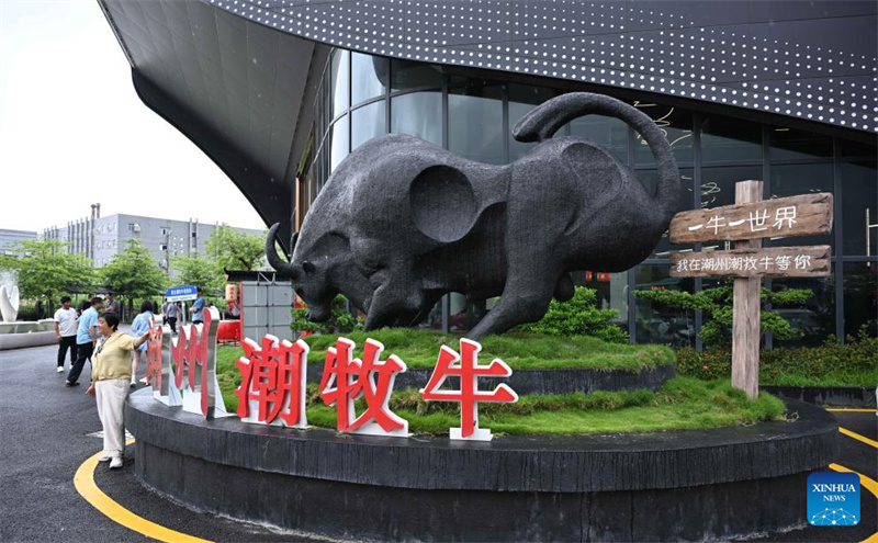 Guangdong : une industrie unique du bœuf prospère à Chaozhou
