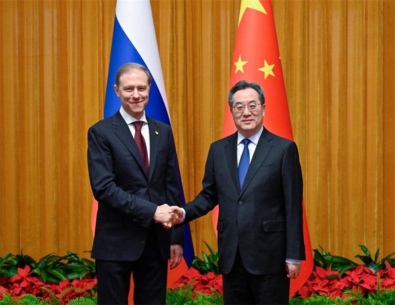 Un vice-Premier ministre chinois rencontre le premier vice-Premier ministre russe