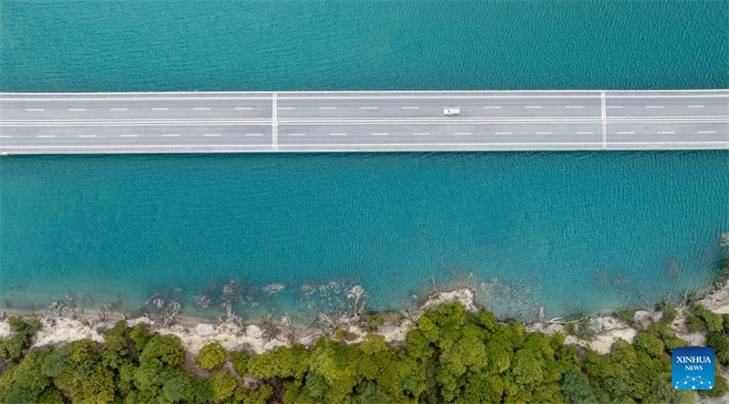Xizang : un réseau de transport amélioré renforce l'accessibilité