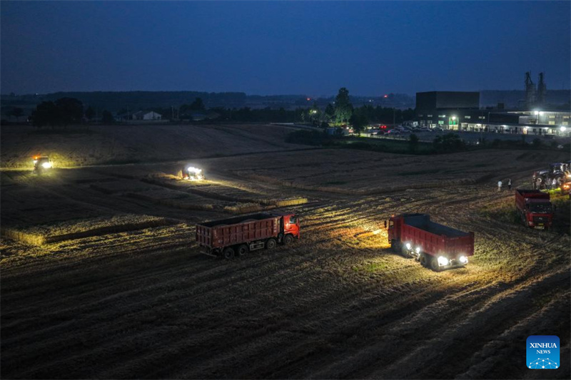 Anhui : un drone d'éclairage aide les machines agricoles à récolter le blé de nuit
