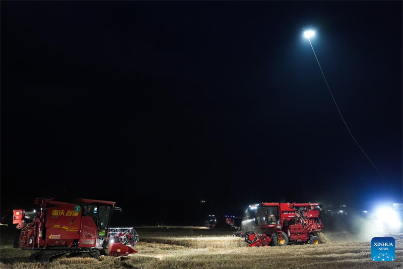 Anhui : un drone d'éclairage aide les machines agricoles à récolter le blé de nuit