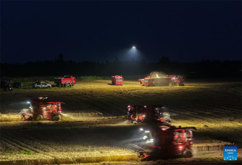Anhui : un drone d'éclairage aide les machines agricoles à récolter le blé de nuit