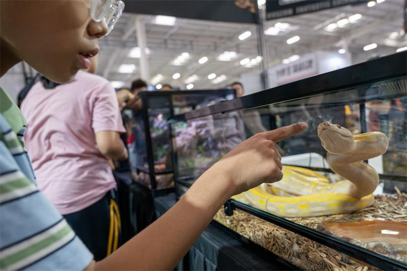 Chine : Exposition mondiale des reptiles de Beijing 2026