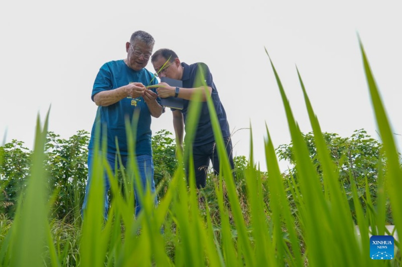 Jiangsu : un expert agricole a consacré plus de six décennies au développement rural de Zhenjiang