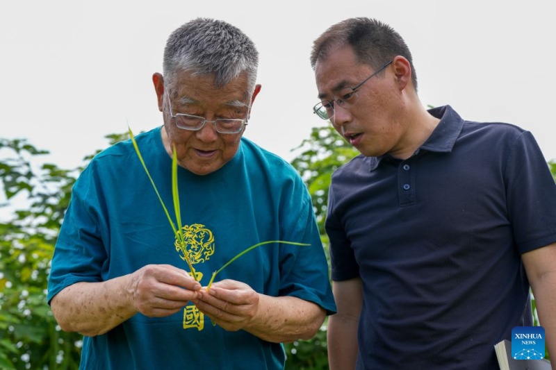 Jiangsu : un expert agricole a consacré plus de six décennies au développement rural de Zhenjiang