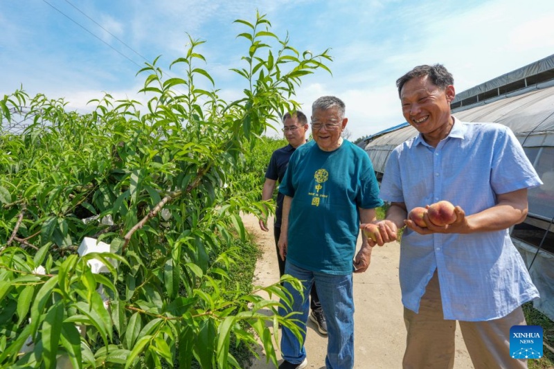 Jiangsu : un expert agricole a consacré plus de six décennies au développement rural de Zhenjiang