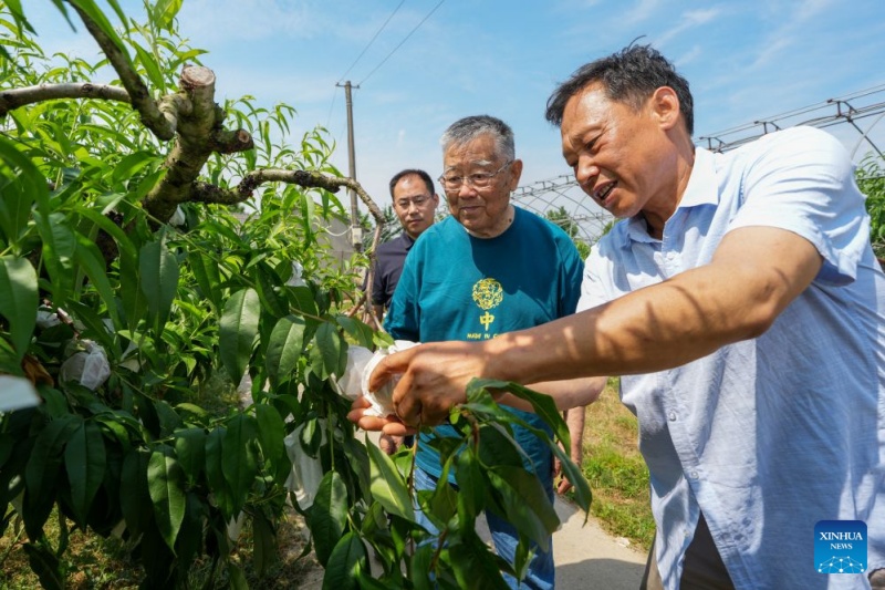 Jiangsu : un expert agricole a consacré plus de six décennies au développement rural de Zhenjiang