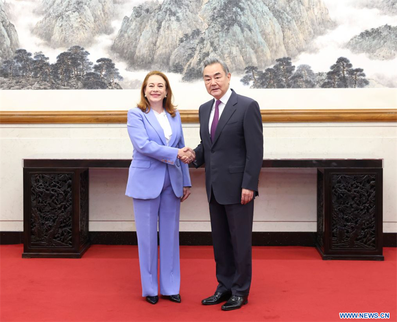 Le chef diplomatique chinois rencontre Maria Fernanda Espinosa, candidate au poste de secrétaire général de l'ONU