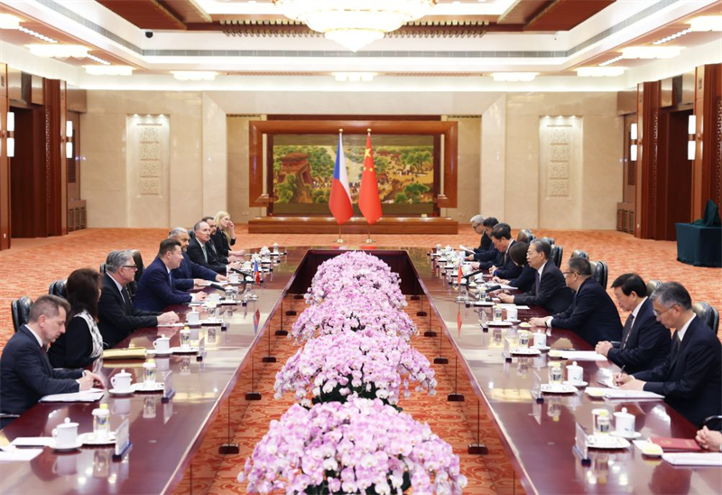 Le plus haut législateur chinois s'entretient avec le président de la Chambre des députés de la République tchèque