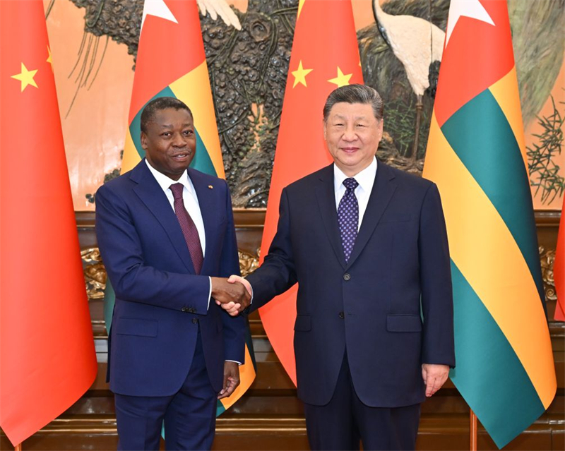 Xi Jinping propose des principes pour une participation constructive au règlement des points chauds en Afrique
