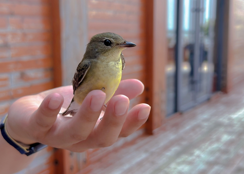 Jiangsu :  ouverture du Forum mondial sur les zones côtières 2025 à Yancheng