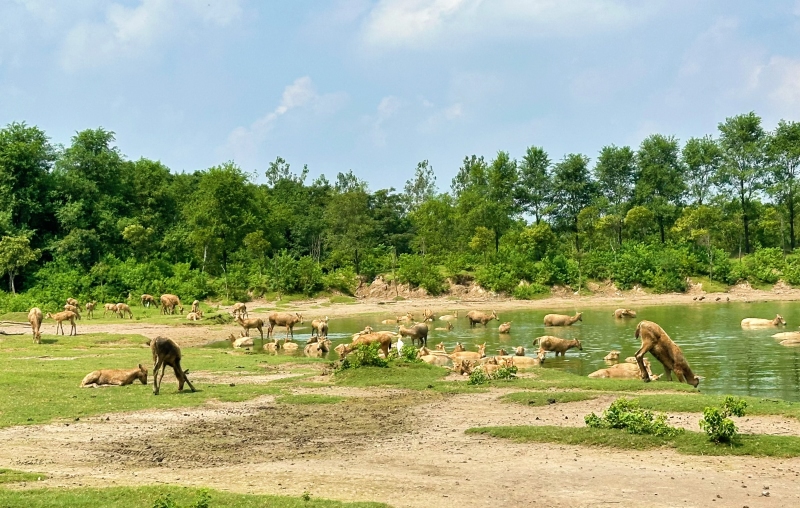 Jiangsu :  ouverture du Forum mondial sur les zones côtières 2025 à Yancheng
