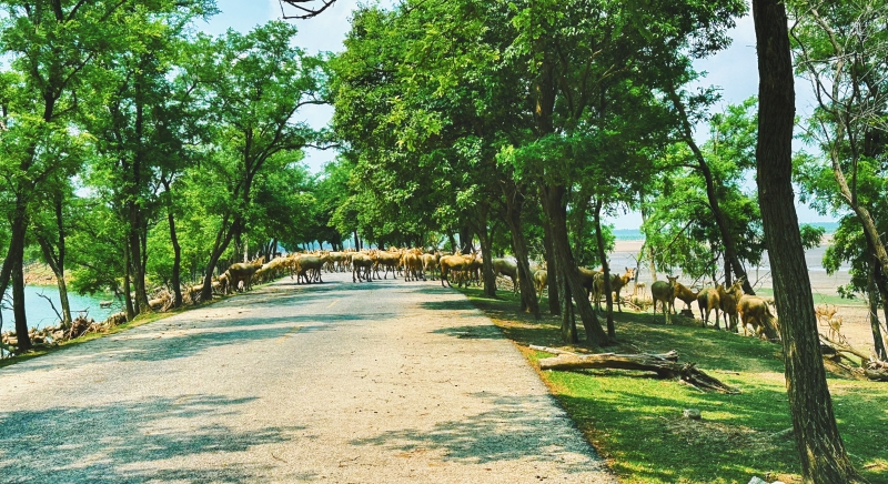 Jiangsu :  ouverture du Forum mondial sur les zones côtières 2025 à Yancheng