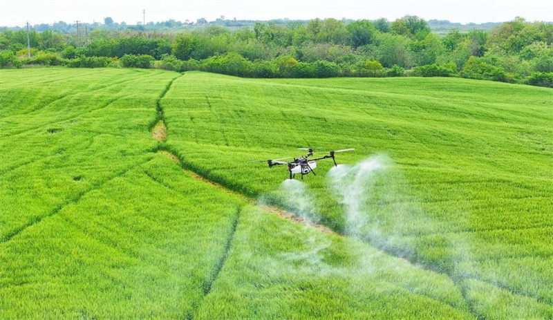 Comment le système de navigation par satellite BeiDou dynamise la transformation agricole de la Chine