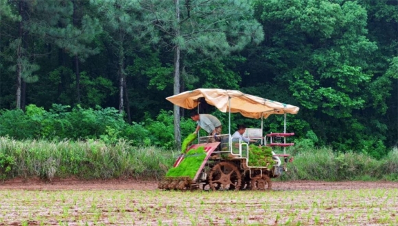 Comment le système de navigation par satellite BeiDou dynamise la transformation agricole de la Chine                    Des tracteurs autonomes du nord-est de la Chine à la gestion des cultures par drones dans le delta du fleuve Yangtsé, le système de navigation par satellite BeiDou (BDS) de la Chine révolutionne l'agriculture grâce à l'agriculture de précision et aux opérations intelligentes. 