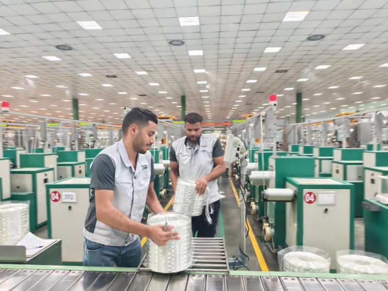Des employés locaux travaillent sur la chaîne de production de l'usine Jushi Egypt Fiberglass Co., Ltd., située dans la zone de coopération économique et commerciale Chine-Égypte TEDA de Suez. (Zhou Zhou/Le Quotidien du Peuple)
