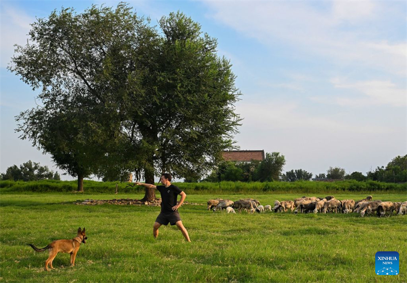 Henan : des passionnés étrangers de Taijiquan adoptent la tendance « Chinamaxxing » dans le village de Chenjiagou